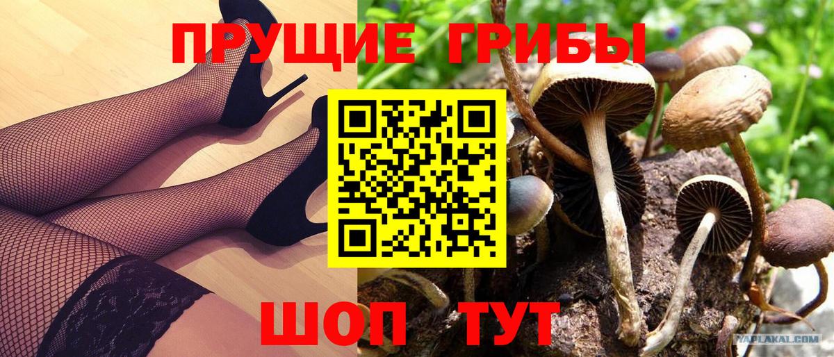 Псилоцибиновые грибы MAGIC MUSHROOMS Казань