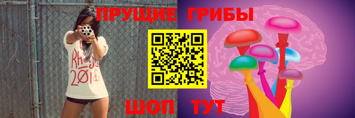 Галлюциногенные грибы GOLDEN TEACHER  Вход с VPN  Казань 